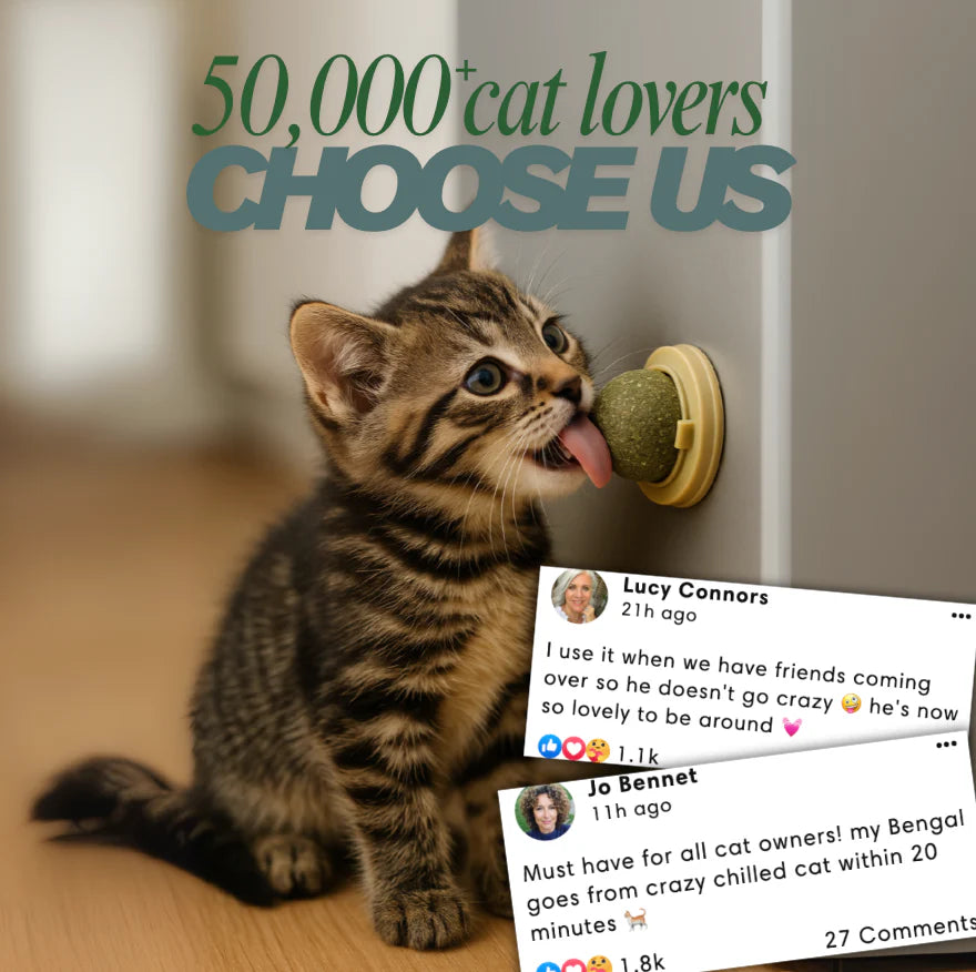 Bola terapéutica de hierba gatera