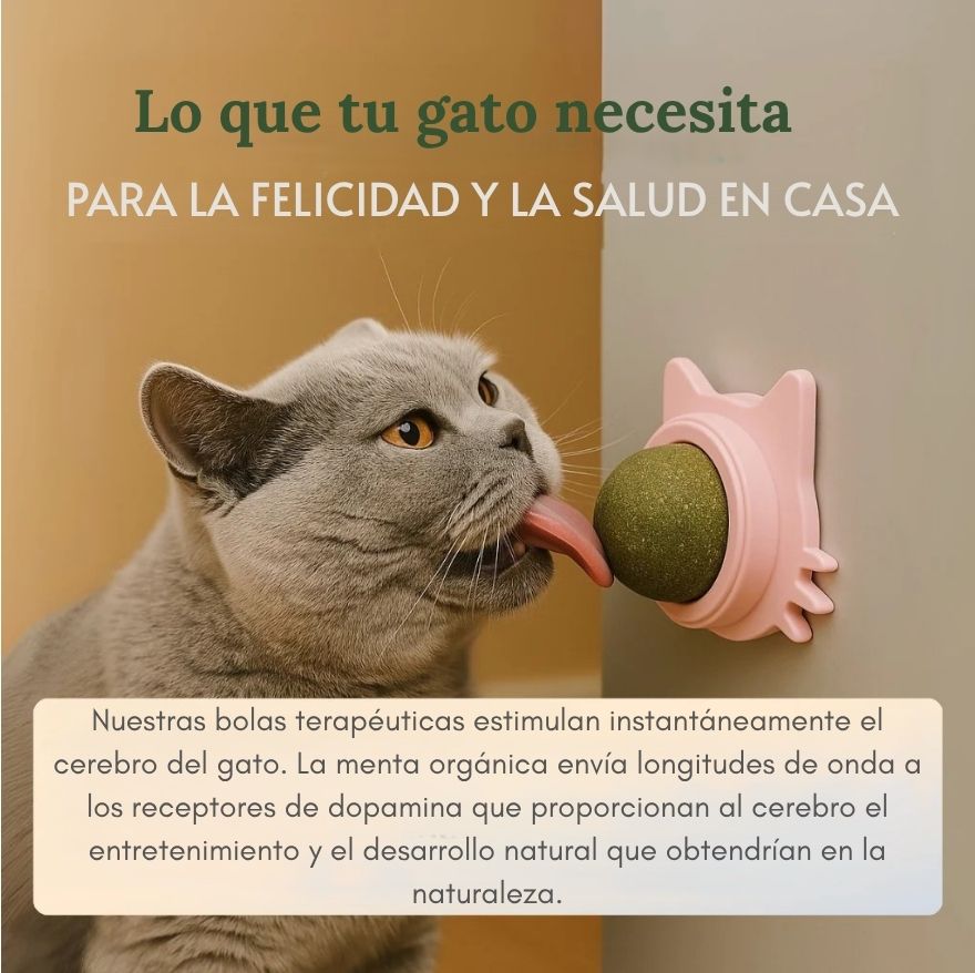 Bola terapéutica de hierba gatera