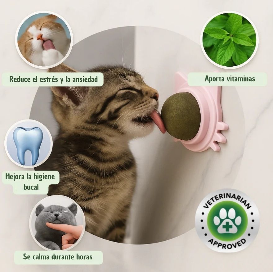 Bola terapéutica de hierba gatera