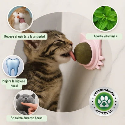 Bola terapéutica de hierba gatera