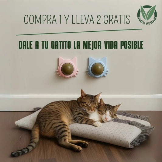 Bola terapéutica de hierba gatera